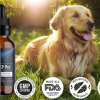 UltraK9 Pro Review: Does the Healthy Pets Supplement Work for Dogs?