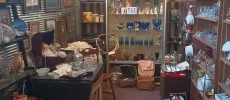Arkansas Antiques and Flea Market LLC