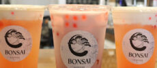 Bonsai Coffee Company