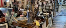 Camelback Antiques