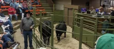 Double OO Livestock Auction
