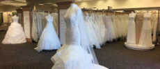 David’s Bridal Glendale AZ