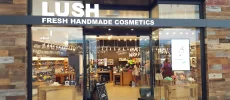Lush Cosmetics Chandler Fashion Center