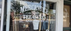 The Mercantile Treasures of Berryville