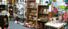 Timeless Antiques & Flea Mall