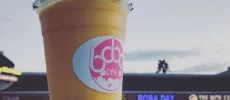 Boba Day