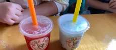 Boba Joes- Bubble Tea and Ice Cream Shop