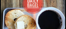 Daily Bagel