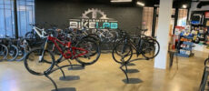 Dynamite Bike Lab