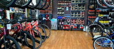 Eastern Shore Cycles