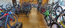 Landis Cyclery