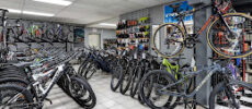 McDowell Mountain Cycles