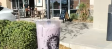 Nova Boba