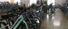 Oro Valley Bike Rentals