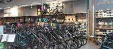 REI Bike Shop