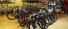 Sabino Cycles