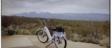 Scotty Bike (Bike Rentals)