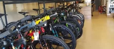Sonoran Cycles Bike Shop
