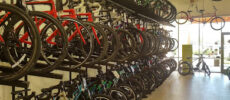 SouthWest Bicycles