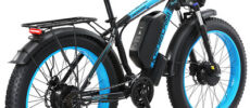 Vivi Ebike