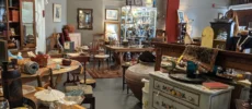 Black Swan Antiques