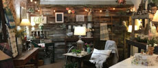 The She Shed by The Peachy Pig